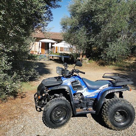 Agriturismo Cantagalli San Quirico d'Orcia Eksteriør billede