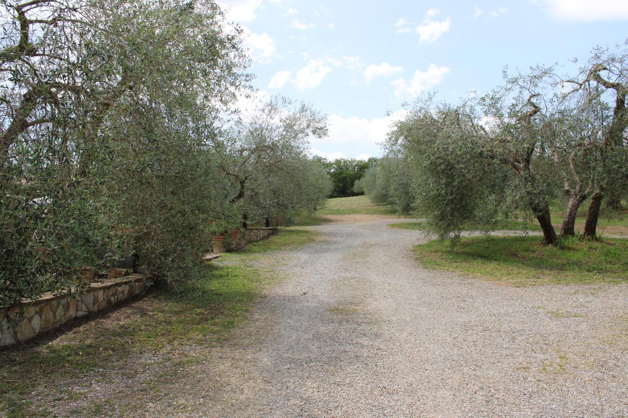 Agriturismo Cantagalli San Quirico d'Orcia Eksteriør billede