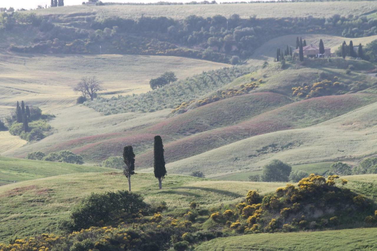 Agriturismo Cantagalli San Quirico d'Orcia Eksteriør billede