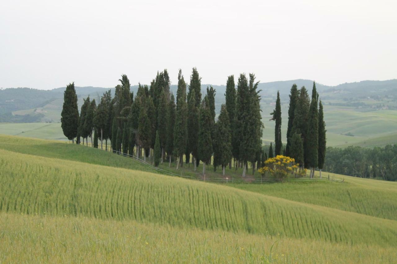 Agriturismo Cantagalli San Quirico d'Orcia Eksteriør billede