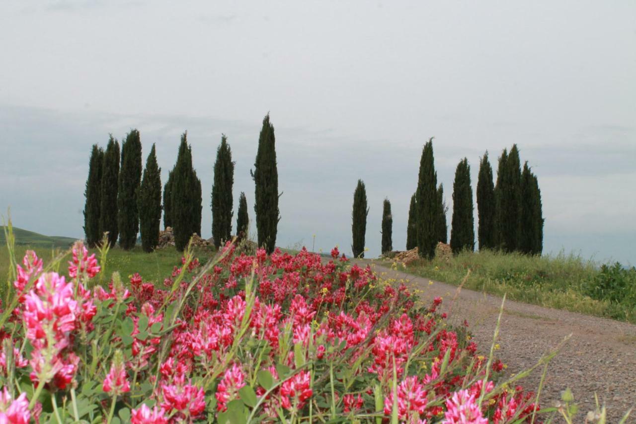 Agriturismo Cantagalli San Quirico d'Orcia Eksteriør billede