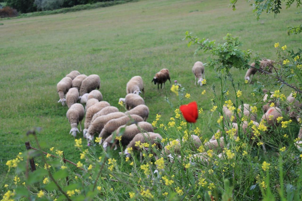 Agriturismo Cantagalli San Quirico d'Orcia Eksteriør billede